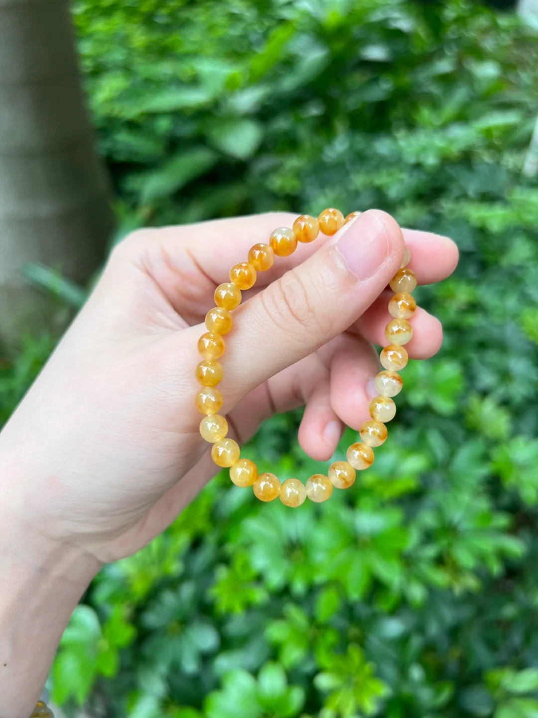 黄翡鸳鸯小米珠(黄翡翠颜色等级和图片)