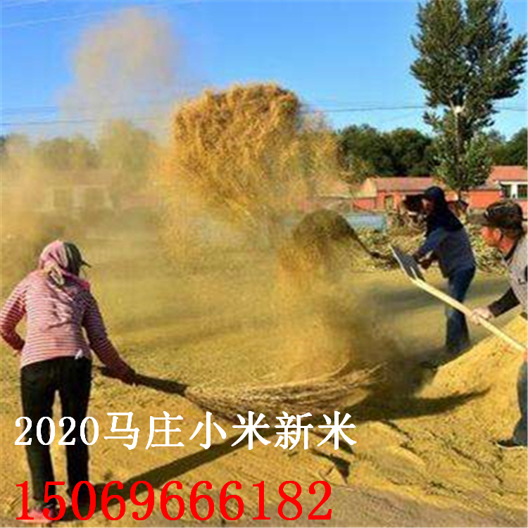 评测 第1887页