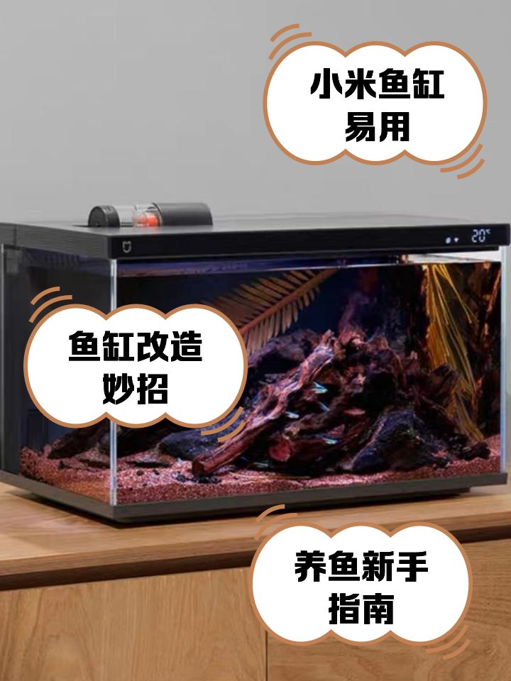 小米鱼缸生态缸(小米鱼缸和森森鱼缸哪个好)