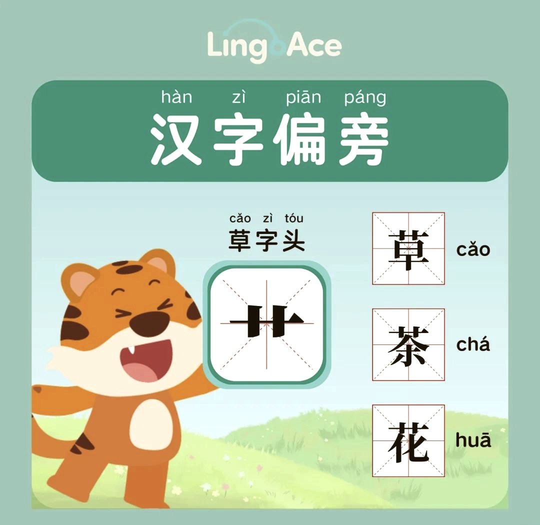 草字头元(草字头元怎么读音)