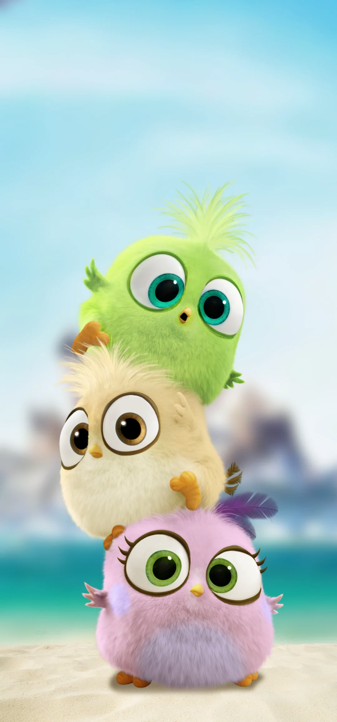 愤怒的老鸟(愤怒的老鸟游戏)