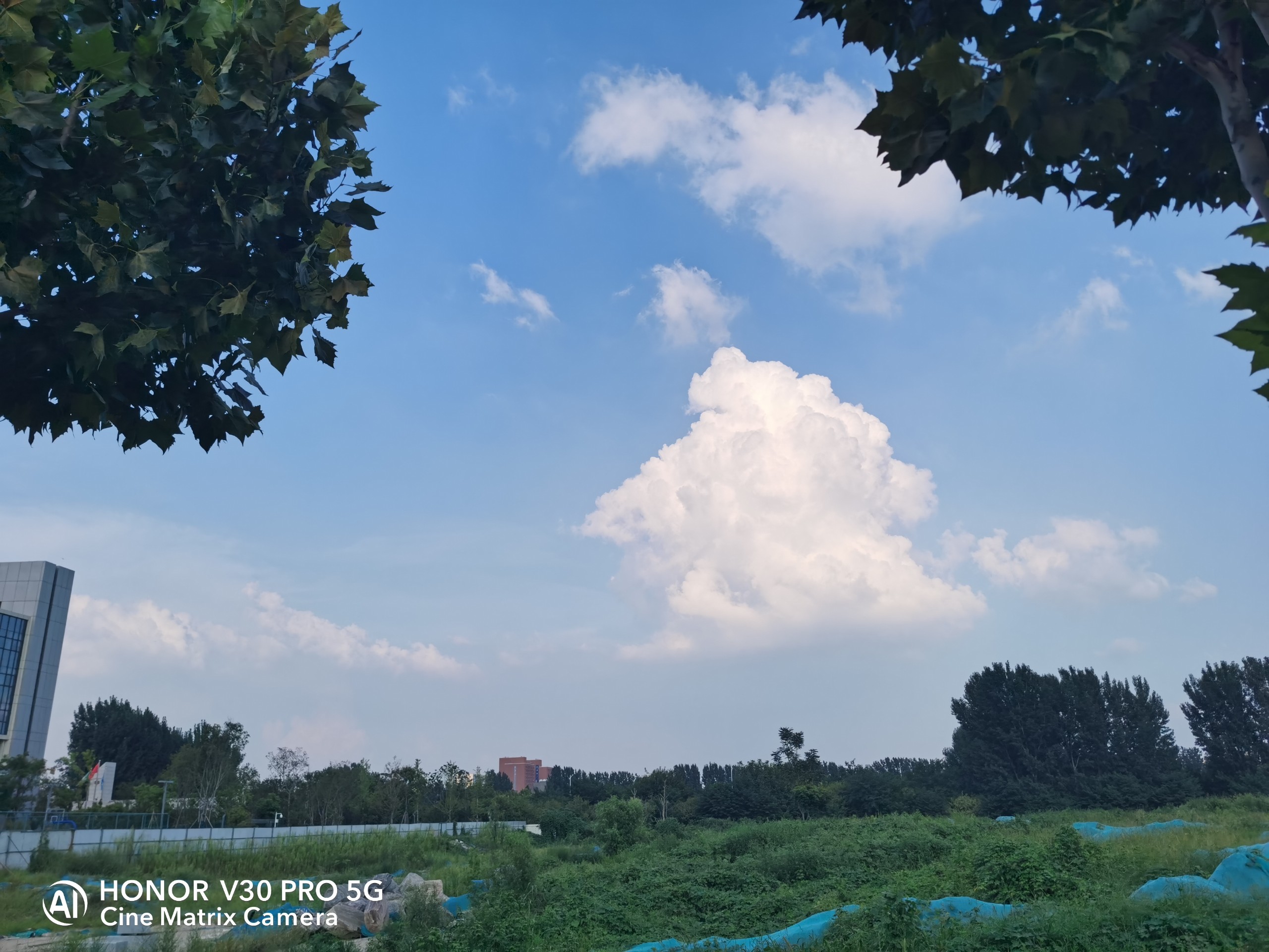 花粉俱乐部官网(花粉俱乐部最新公告)