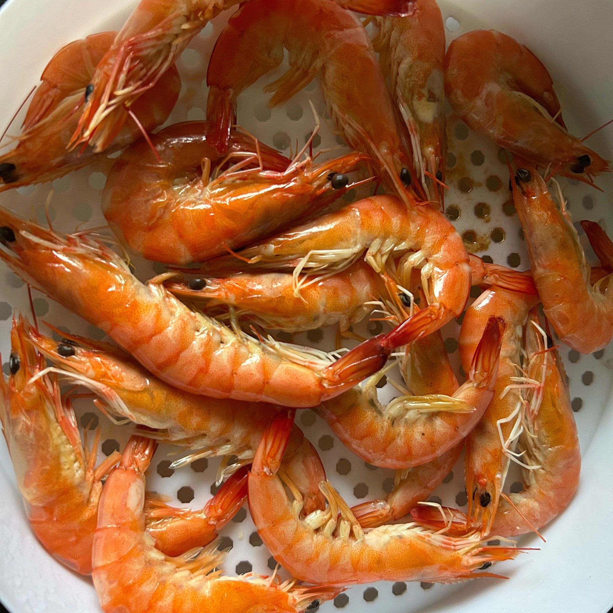 龙须鱼(龙须鱼桃源深处有人家)