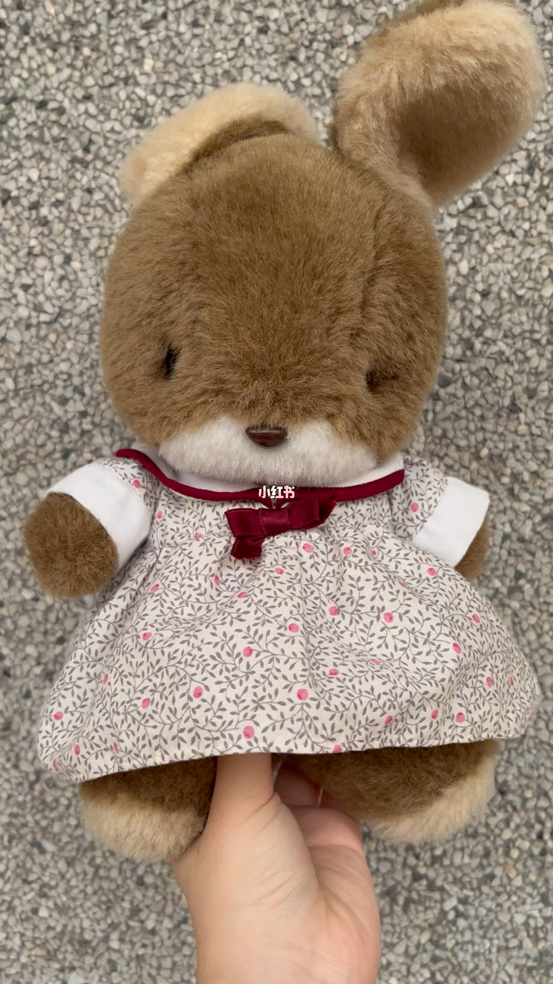 甜兔(甜兔少女)