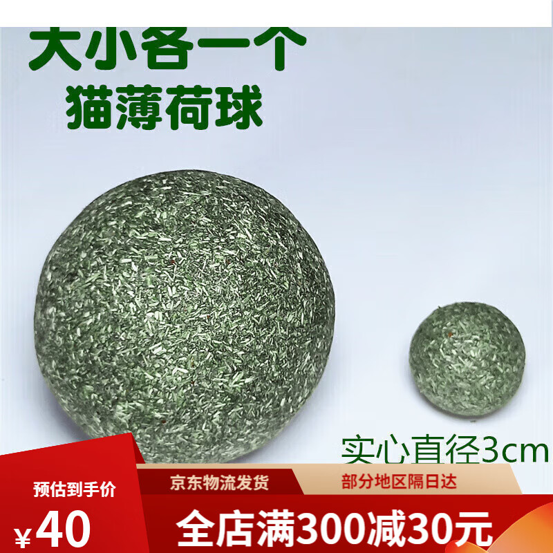 小球球(小球球是谁)