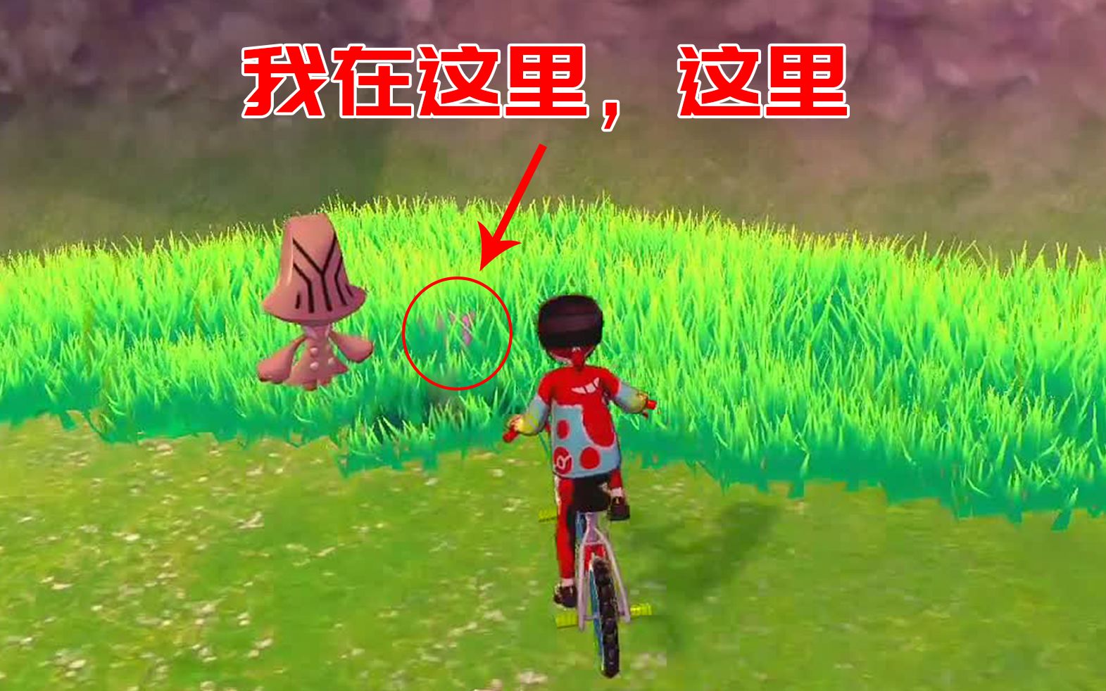 百变怪生蛋规则(百变怪生蛋规则性格)