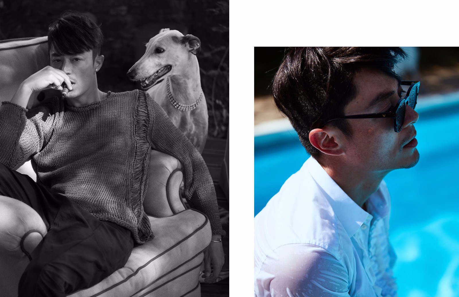 破解版脱单法则(脱单法则橙光破解版完结版金手指)