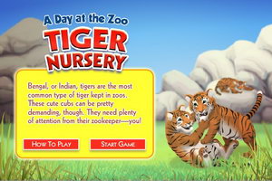 老虎逃脱3小游戏攻略(老虎逃脱3小游戏攻略大全)