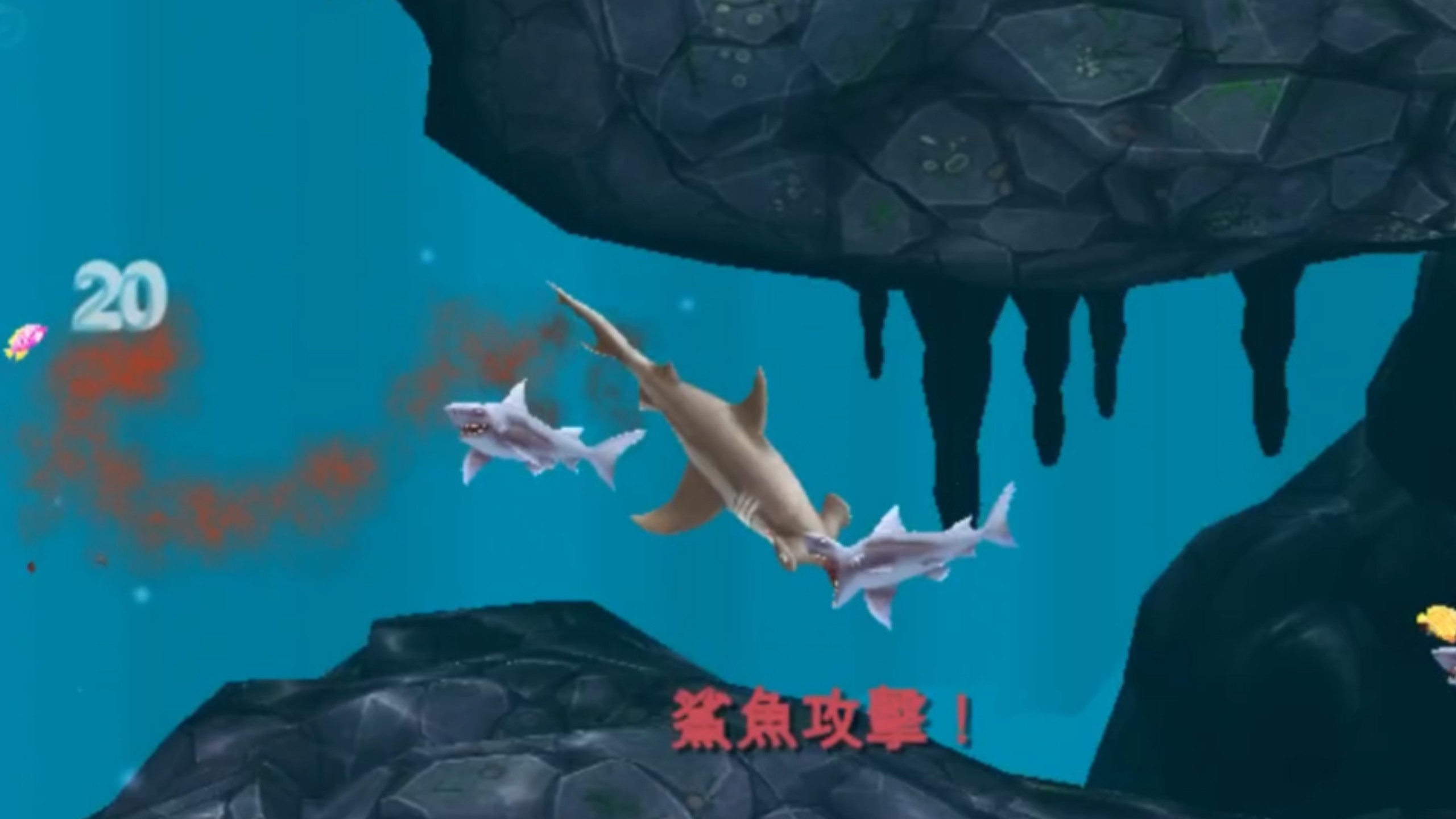 饥饿鲨之破解版6.6(饥饿鲨破解版最新版2021)