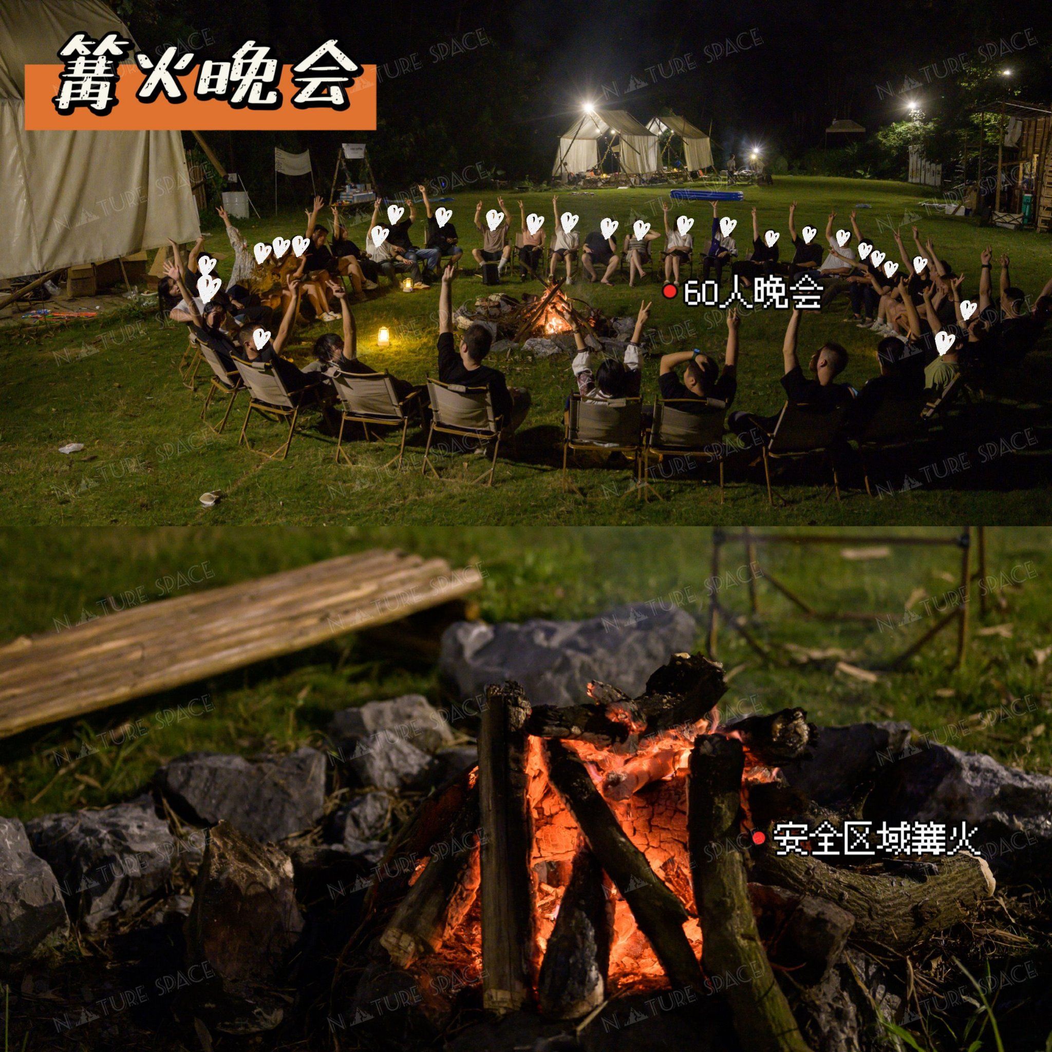 后院草坪逃脱小游戏攻略(后院的绿草地主要讲了什么)