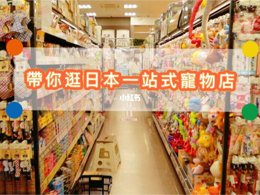 宠物店逃脱攻略(宠物店逃脱攻略大全)