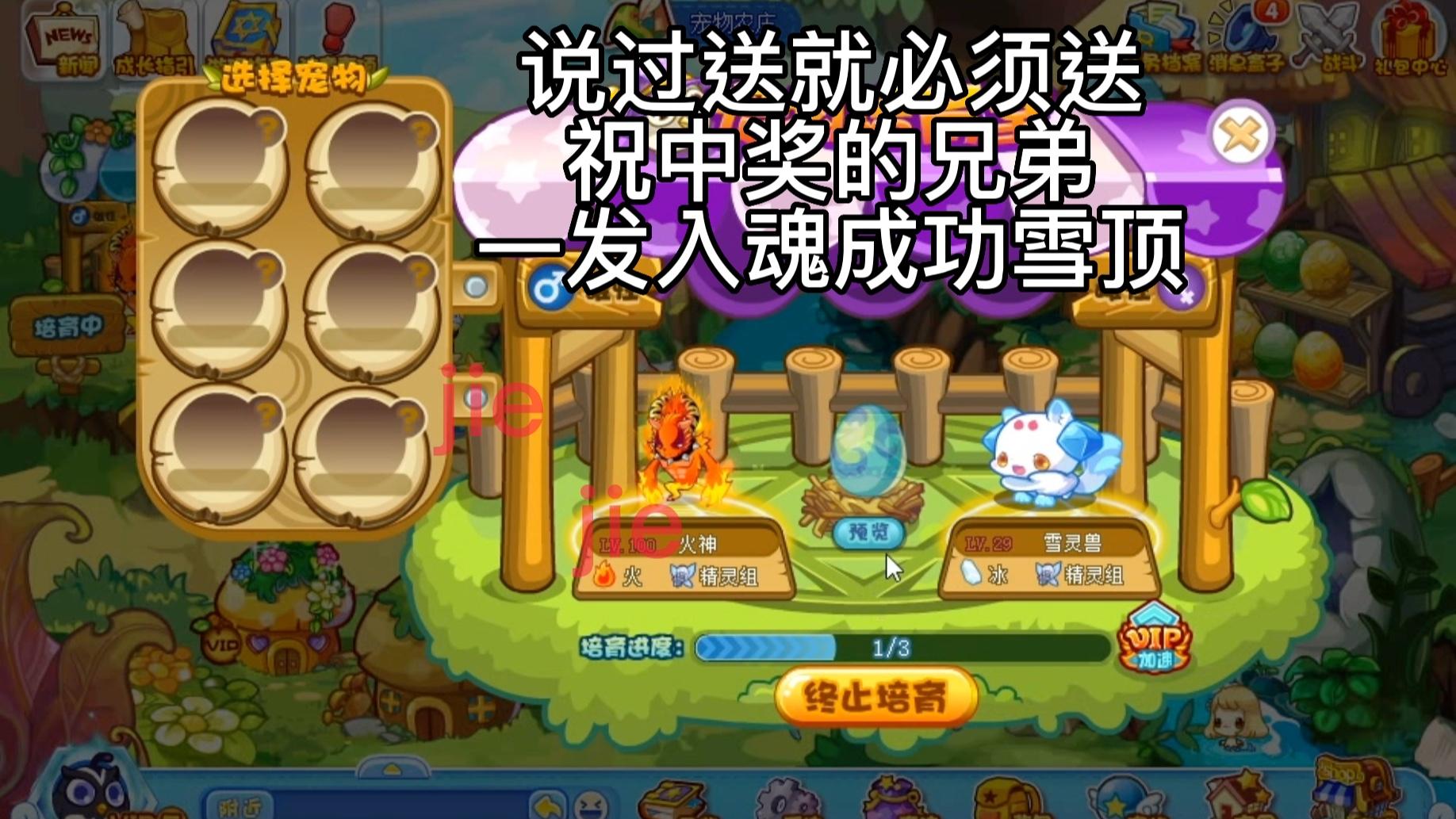 洛克王国版本雪灵兽(洛克王国雪灵石怎么获得)