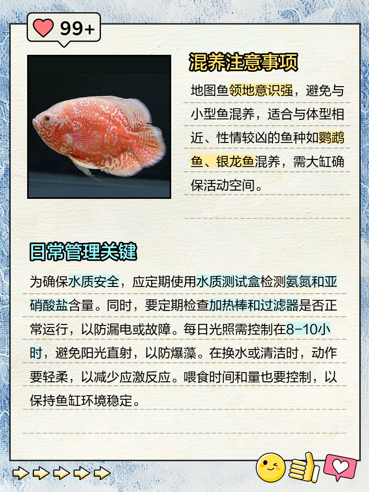 养鱼大亨攻略(养鱼大亨攻略篇)