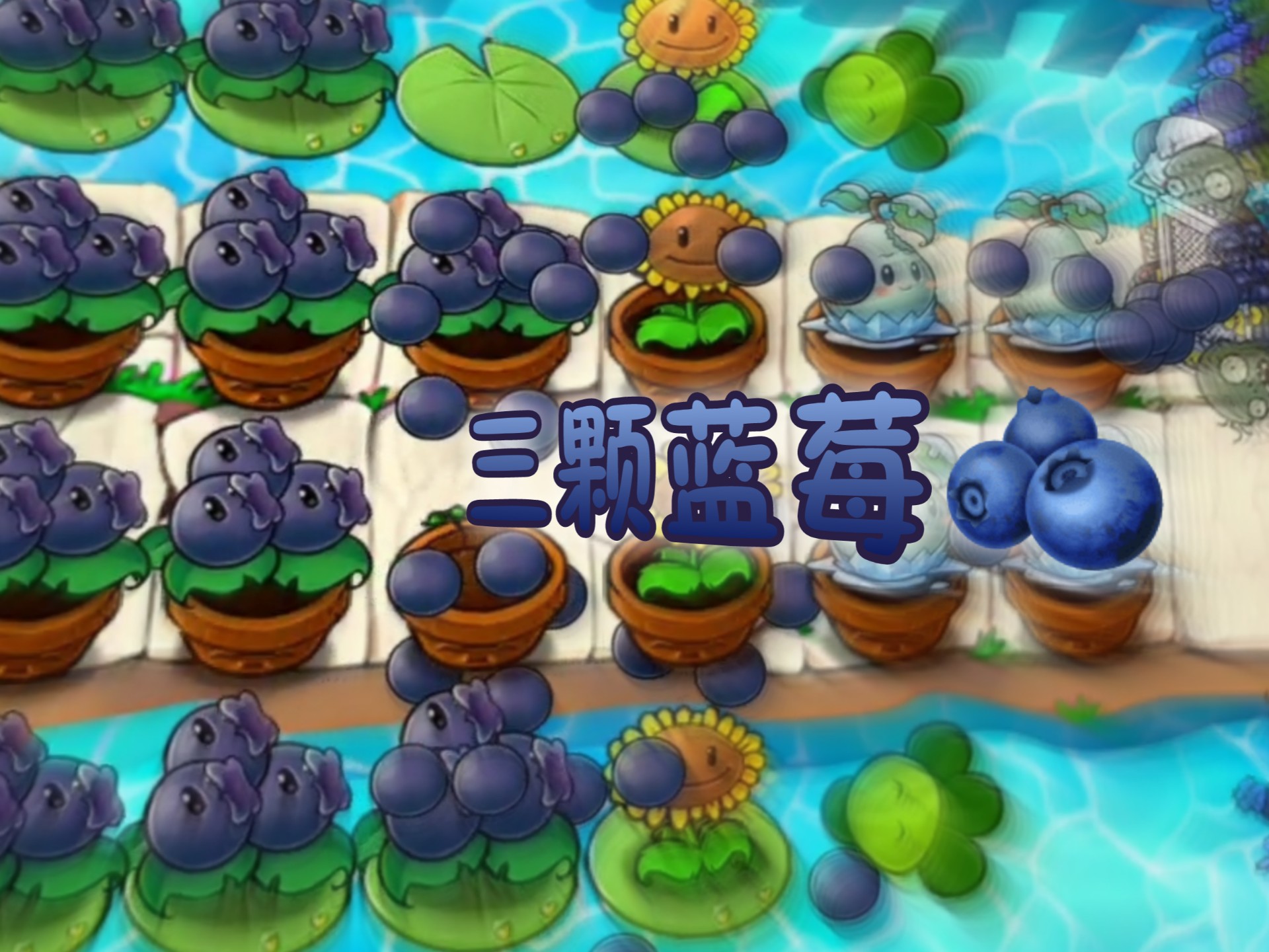 植物大战僵尸王国5(植物大战僵尸王国保卫战)