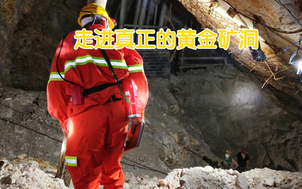 逃离黄金洞窟过关攻略(密室逃脱1逃离地牢攻略大全)