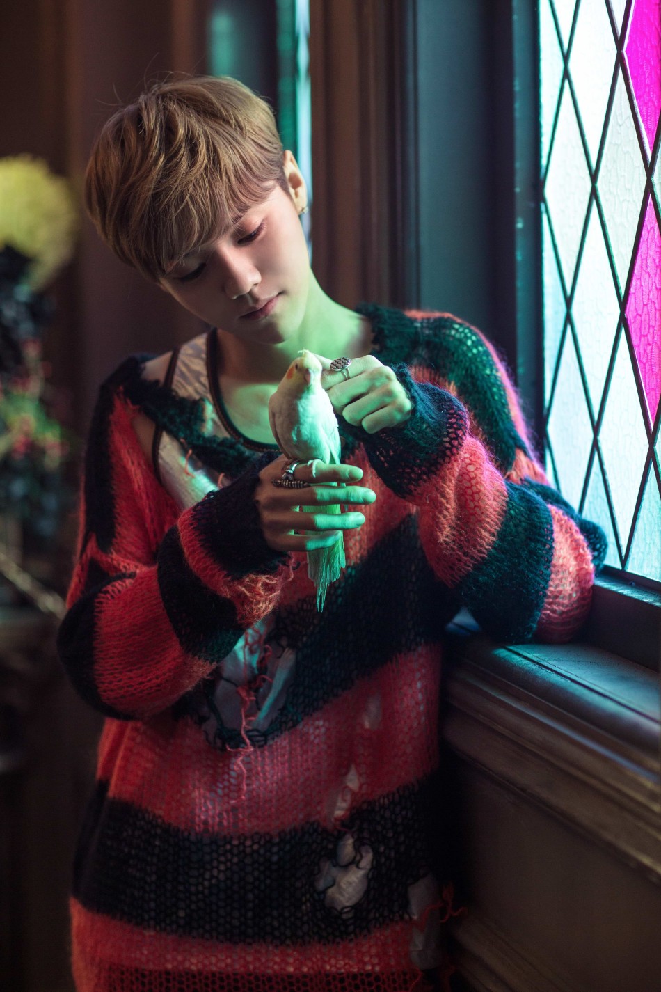 梦境边缘鹿晗攻略(梦境边缘边伯贤攻略)