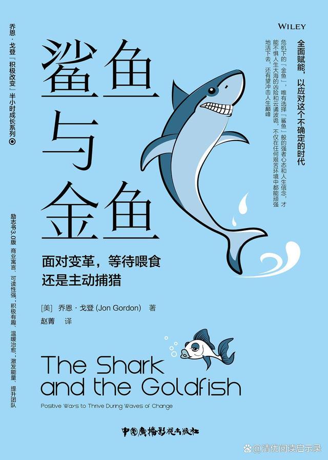 快乐的鲨鱼3攻略(快乐的鲨鱼3攻略大全)