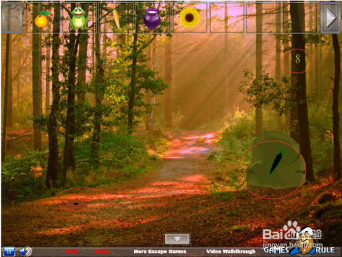 逃离丛林攻略(逃离丛林攻略第四章)