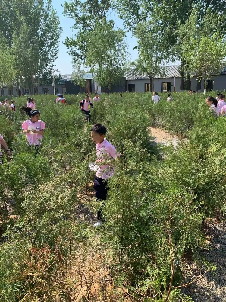 绿色王国下载(绿色王国的亿万富翁在线阅读)