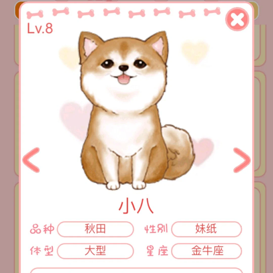 小狗的意外小游戏攻略(小狗的意外小游戏攻略图文)