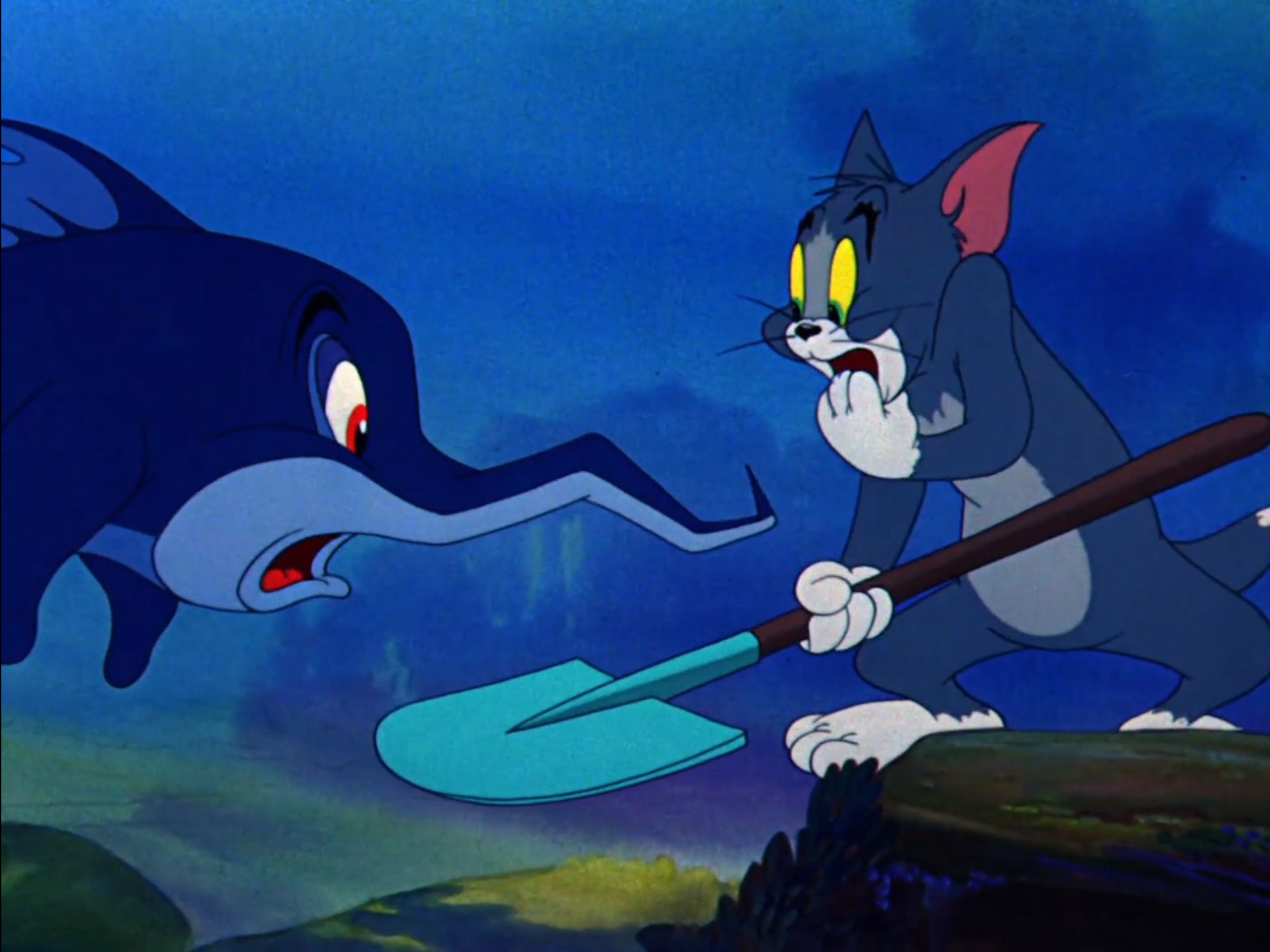 猫和老鼠旧版本大全集(猫和老鼠旧版本大全集免费观看)