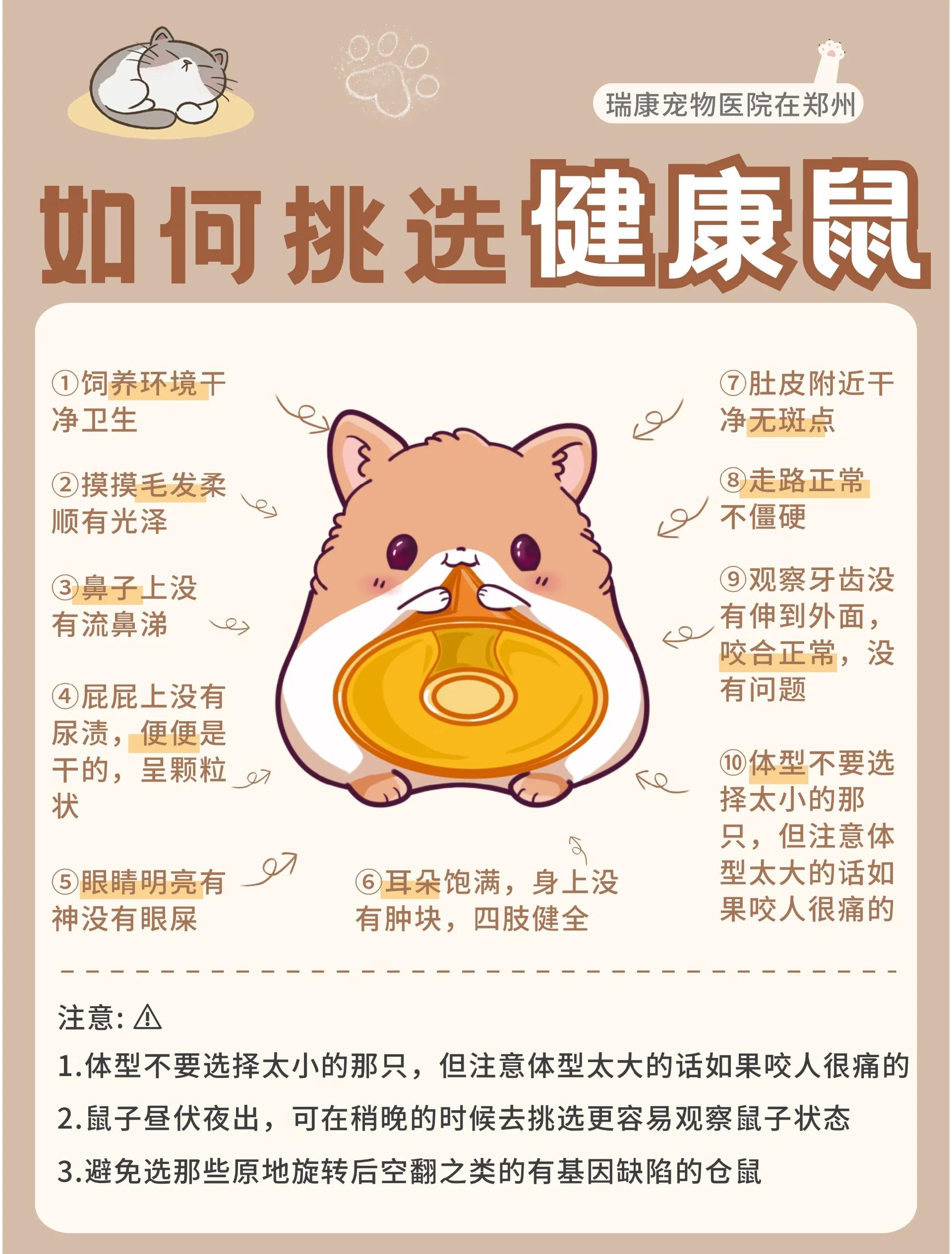 仓鼠餐厅攻略(仓鼠餐厅下载中文版)