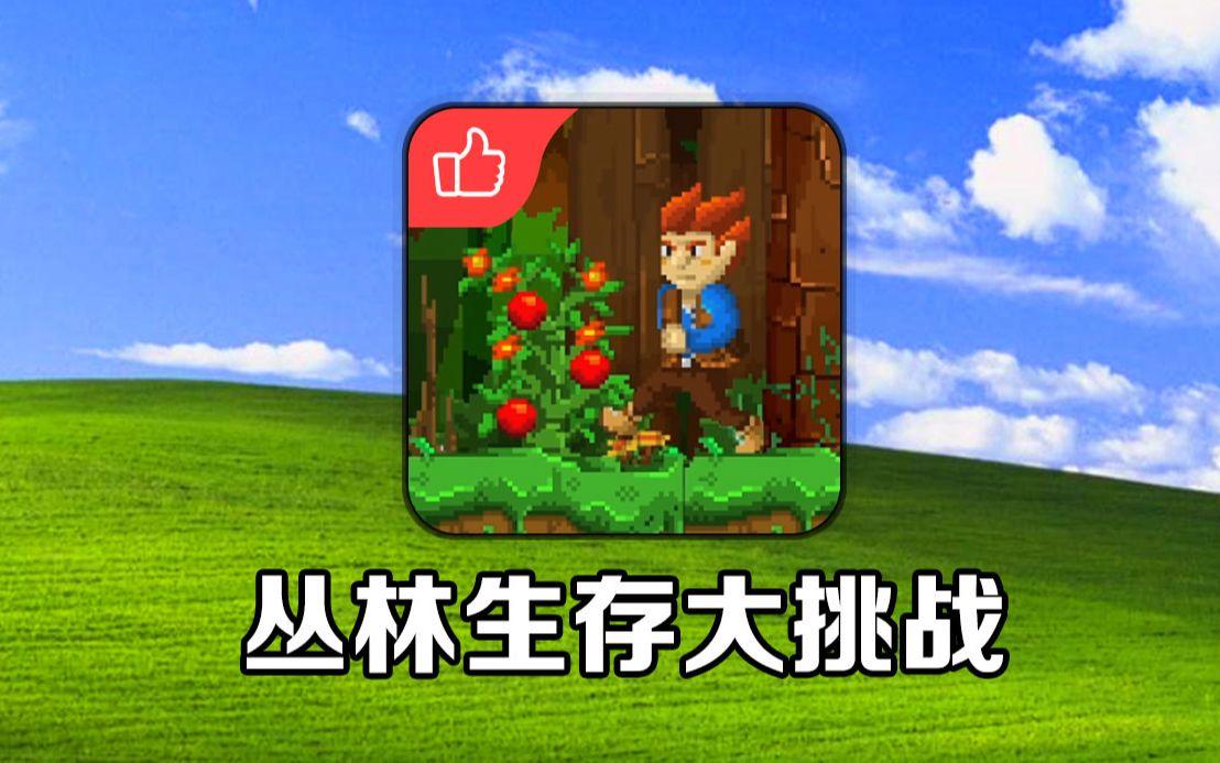 其他版本丛林生存大挑战(丛林生存大挑战中文版无敌版)