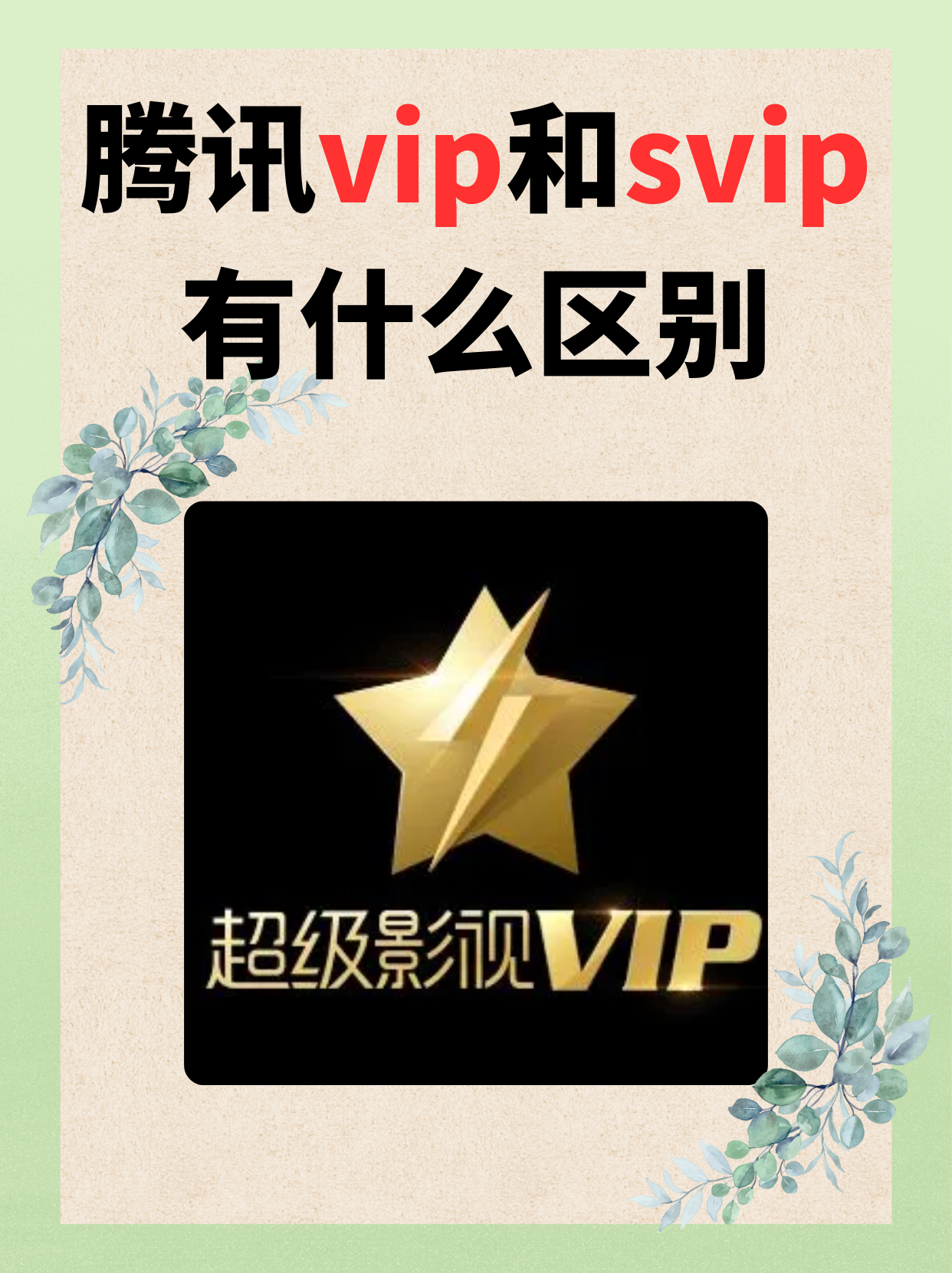 57视频VIP破解版(各大视频vip破解版下载)