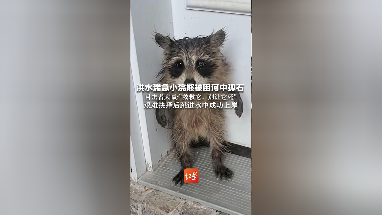 救救可爱小浣熊攻略(三国群侠传 最强组合)