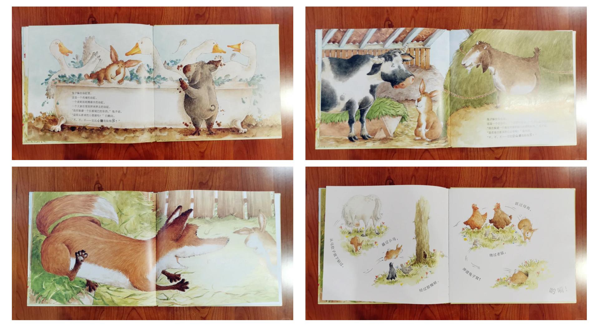 兔子快跑攻略(兔子快跑攻略视频)