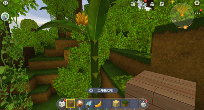 迷你世界热带雨林更新版(迷你世界热带雨林什么时候上线?)