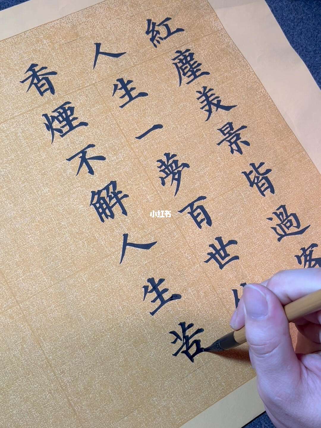 人生一梦最新破解版(人生一梦最新破解版下载)