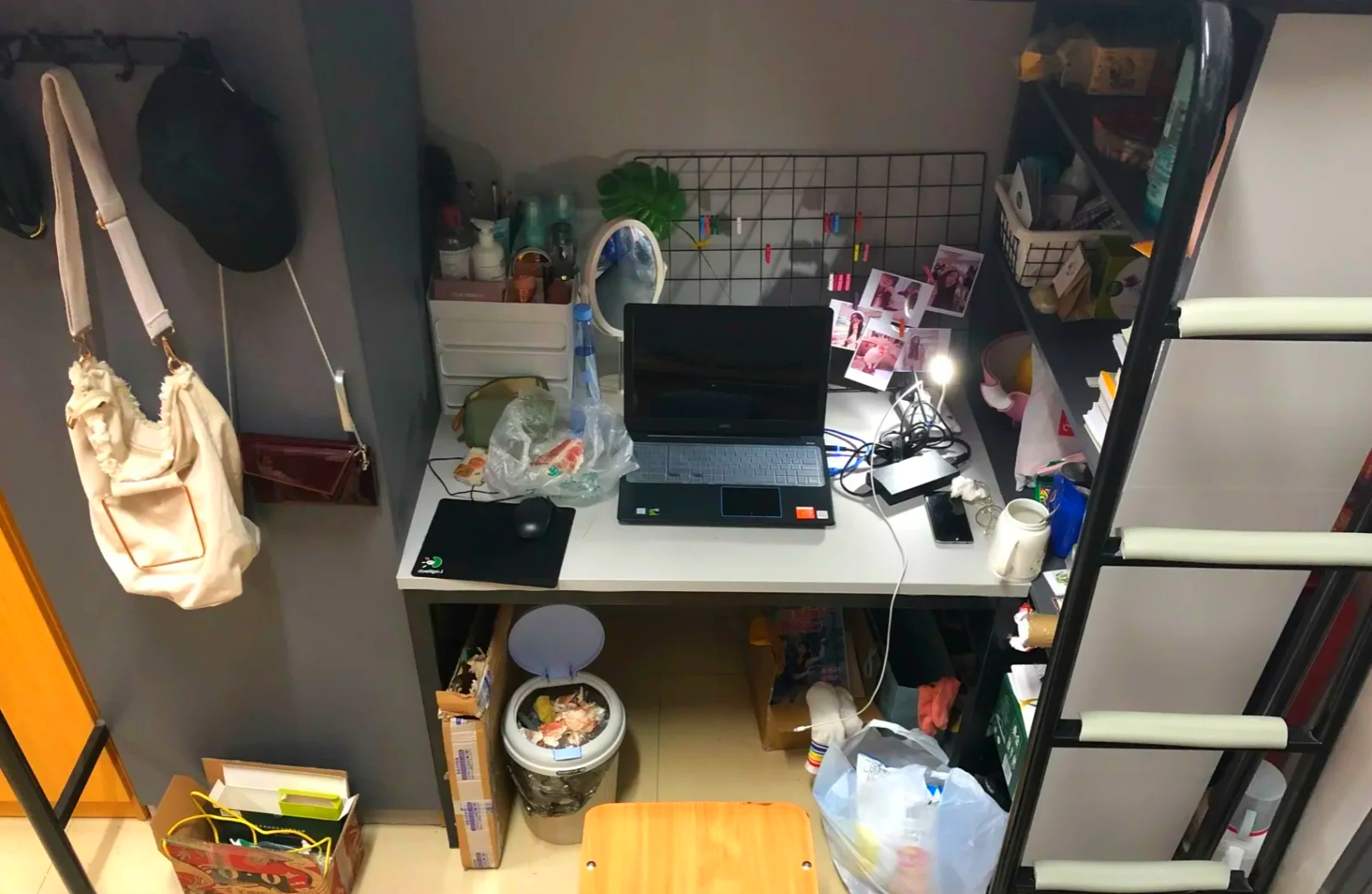 女大宿舍小游戏攻略(女大宿舍小游戏攻略大全)