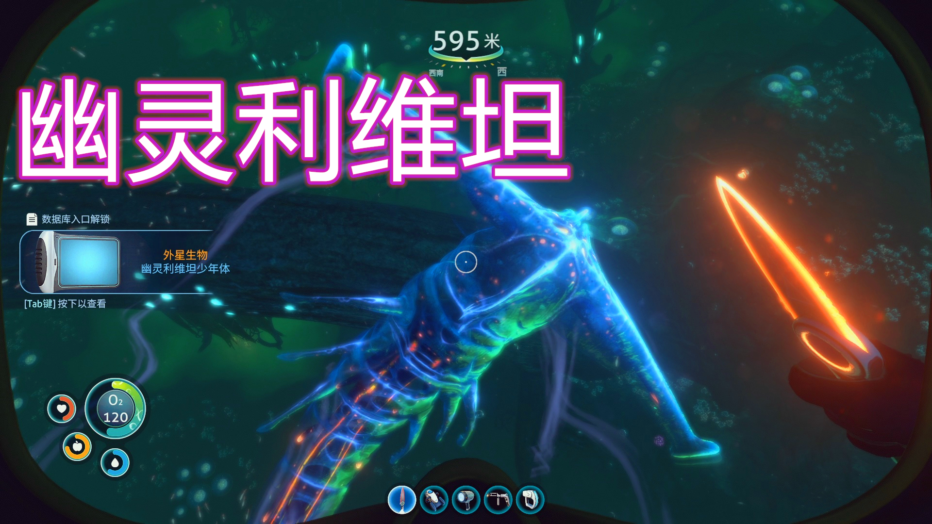 幽灵森林冒险攻略(幽灵森林冒险攻略大全)