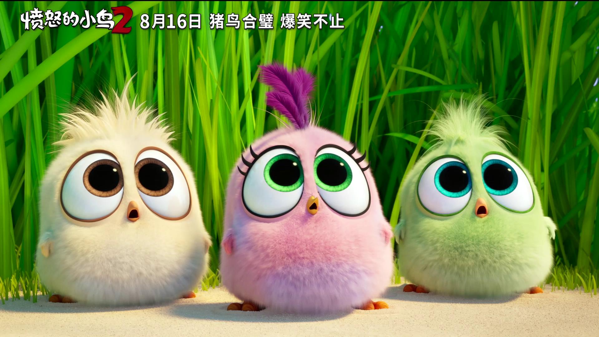 愤怒小鸟二2020版本(愤怒小鸟二第30关怎么过)