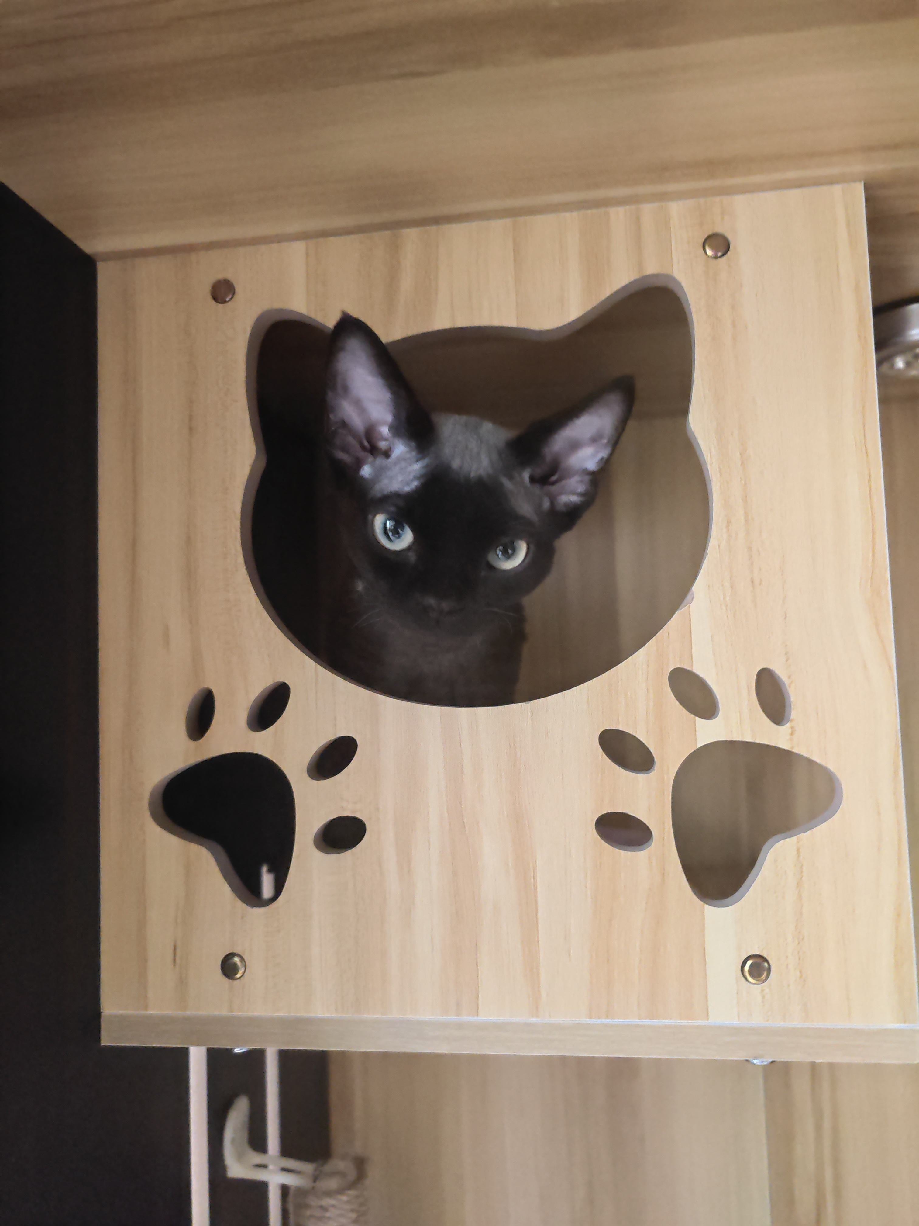 2025年10月6日 第79页