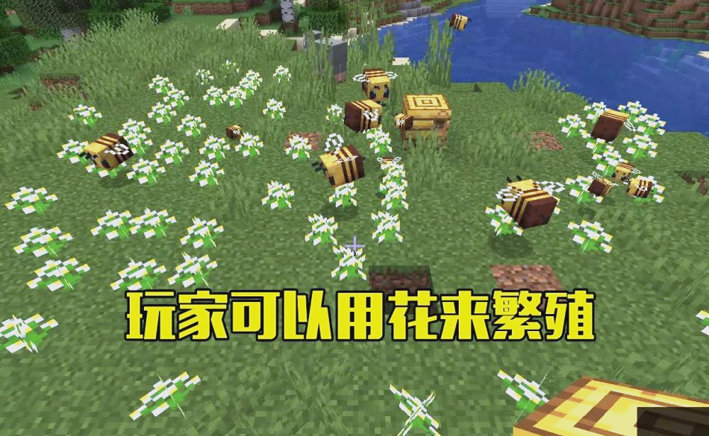 我的世界蜜蜂版本种植(我的世界手机版蜜蜂种子)