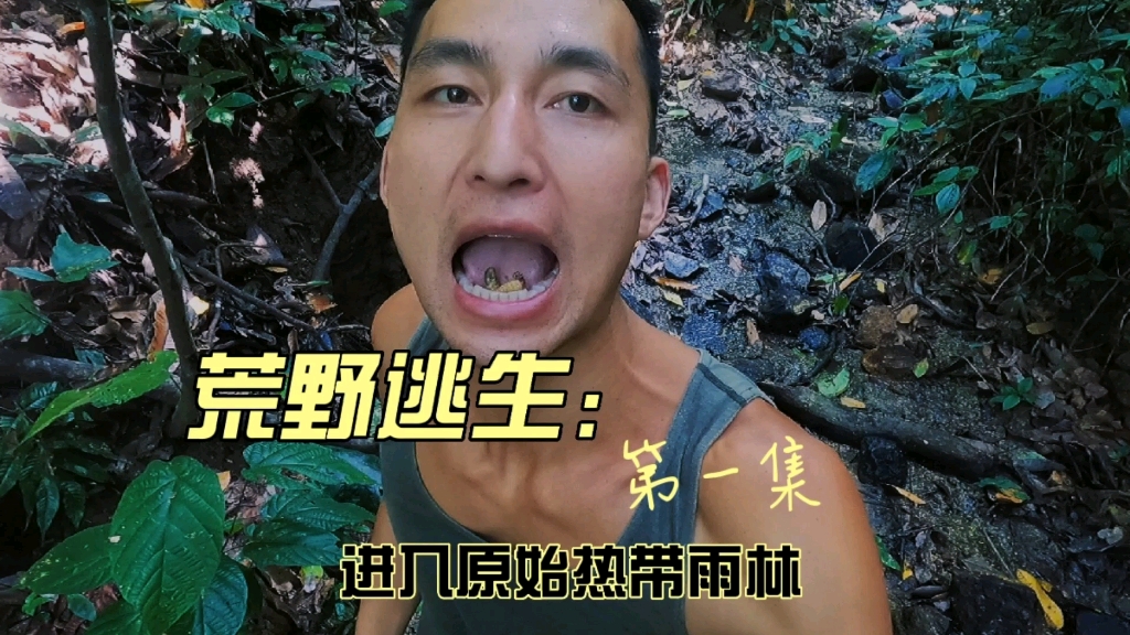 热带雨林逃生攻略(热带雨林遇到险情的逃生方法)