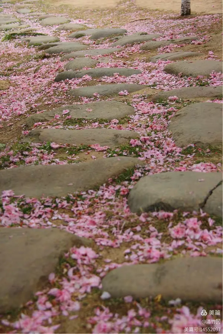 2025年10月9日 第122页