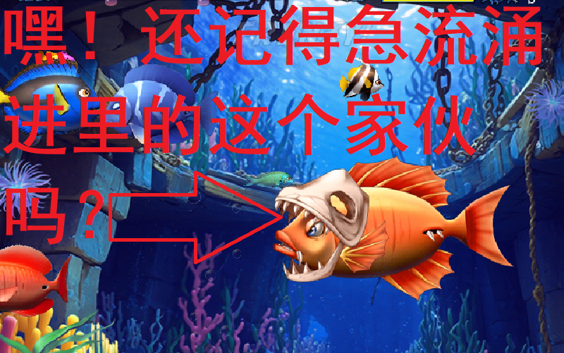 吞食鱼1攻略(吞食鱼1鱼类图鉴)