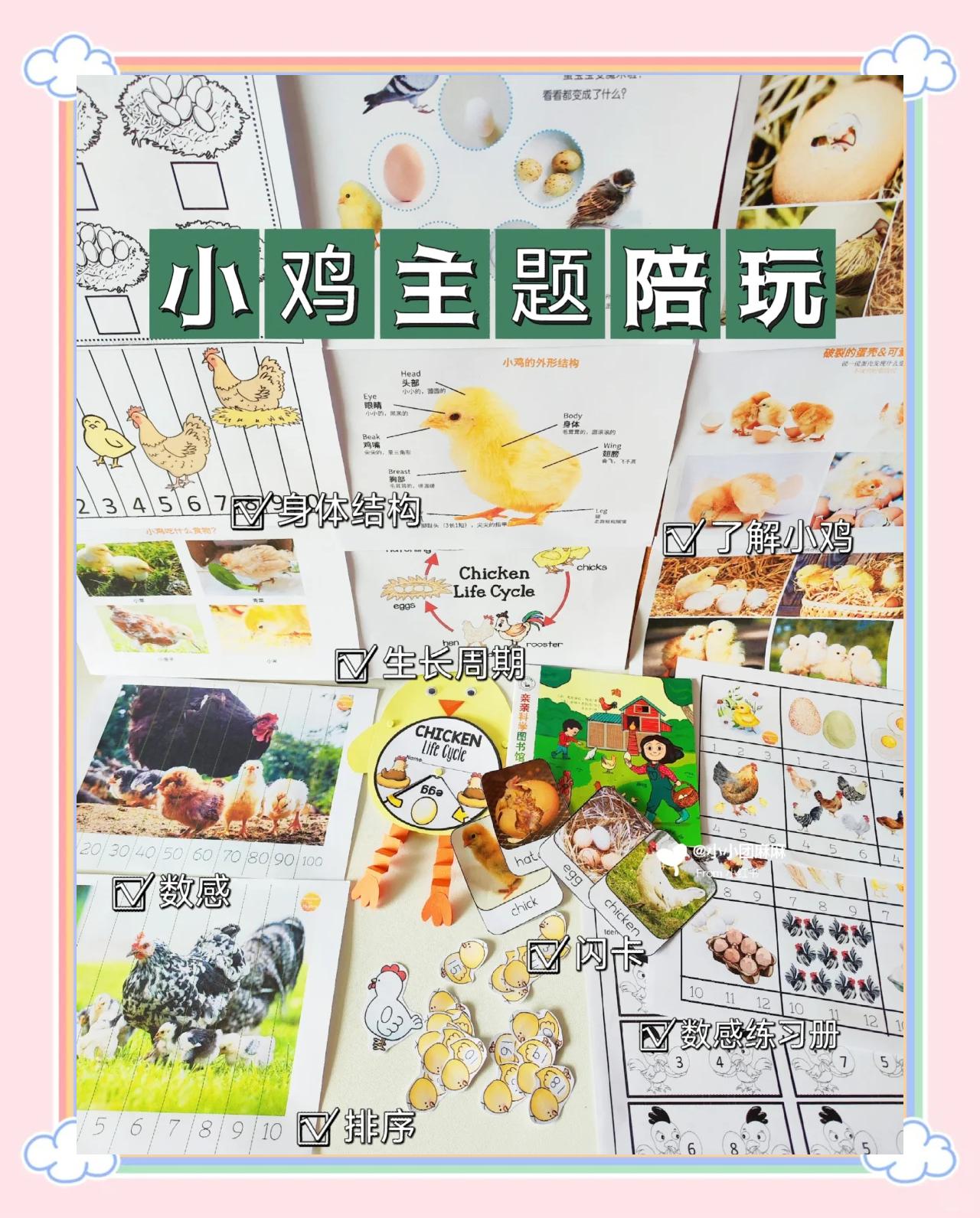 小鸡跳棋攻略(小鸡跳棋攻略大全)