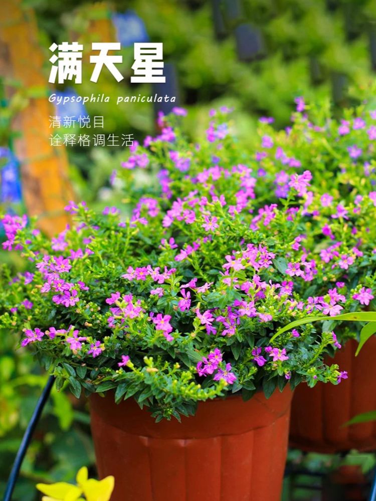 2025年10月10日 第59页