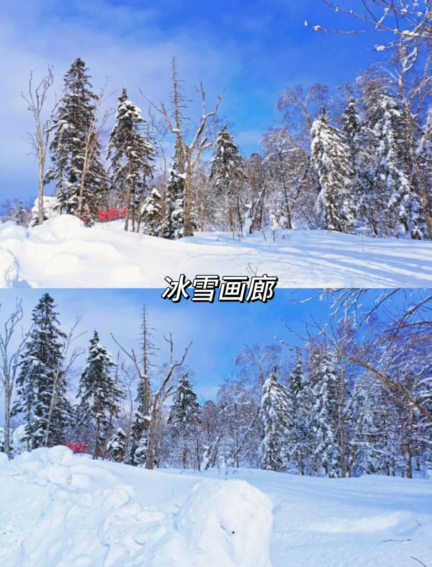 冰雪奇缘游戏攻略175(冰雪奇缘冰纷乐官方版怎么玩)