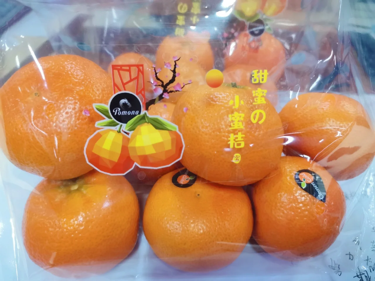 小蜜洁破解版(小狗宝盒56破解版)