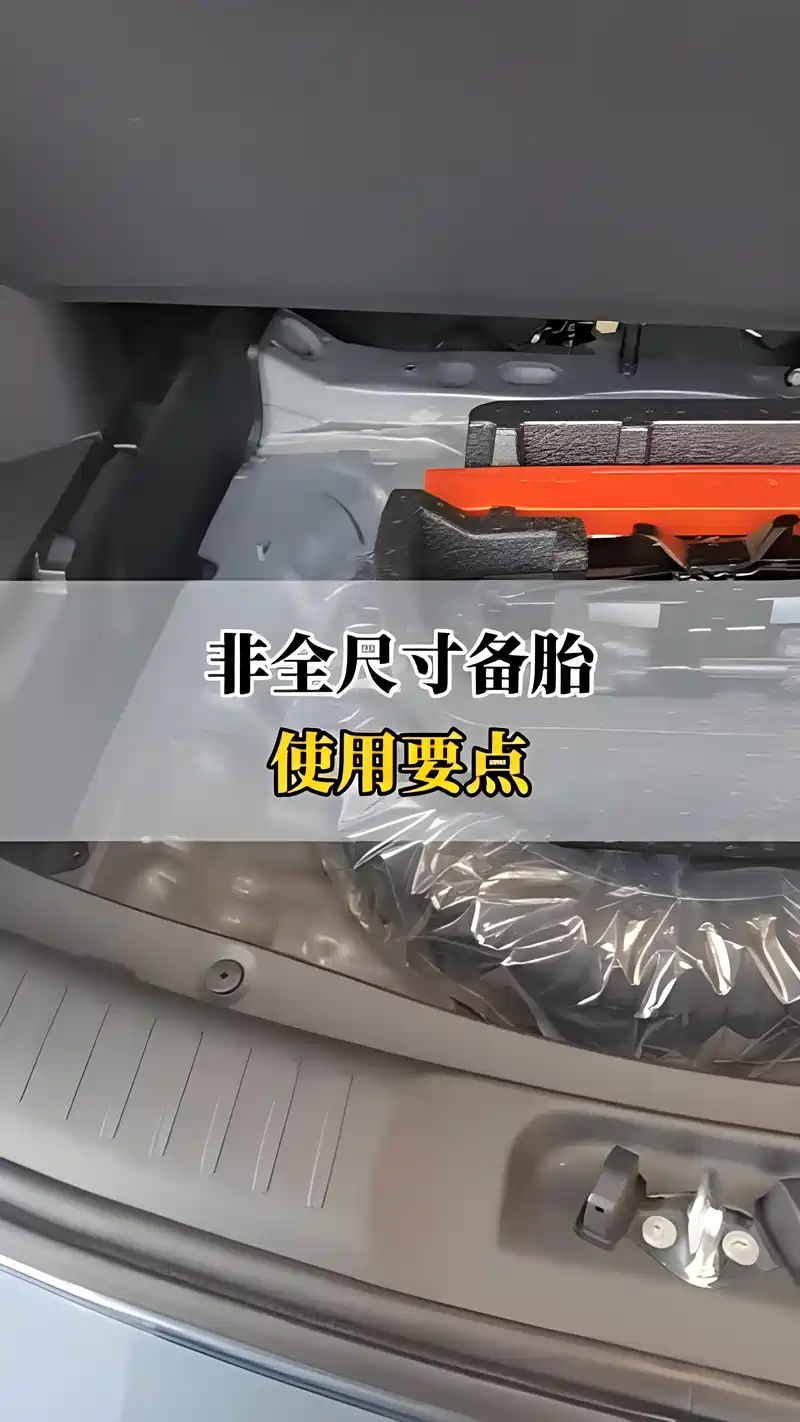 备胎攻略完整破解版(备胎攻略完整破解版下载)