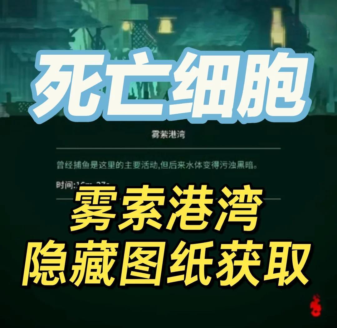 重生细胞什么版本中文版(重生细胞是哪个平台的游戏)