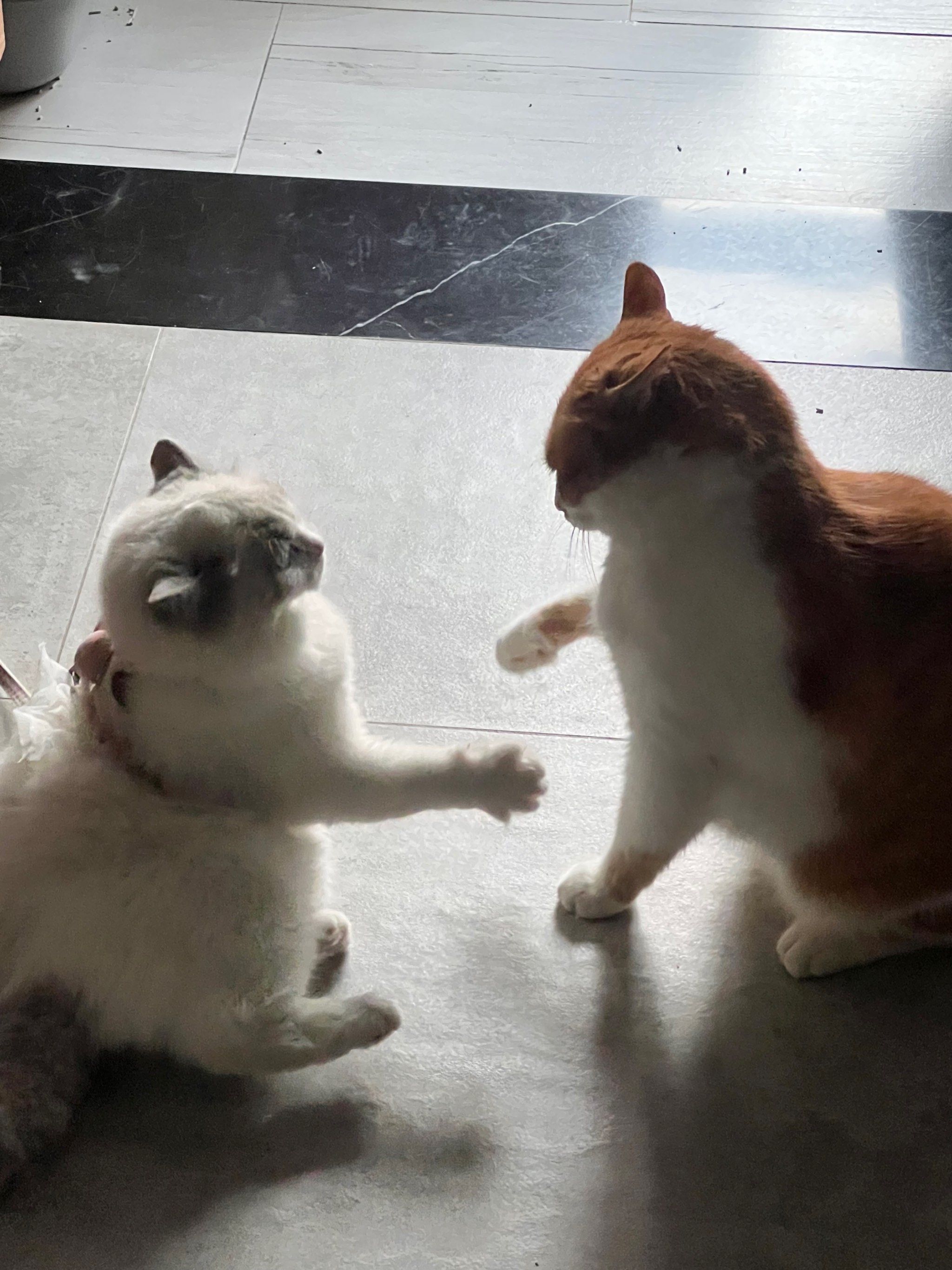 石头剪刀布攻略(石头剪刀布这个游戏怎么玩)