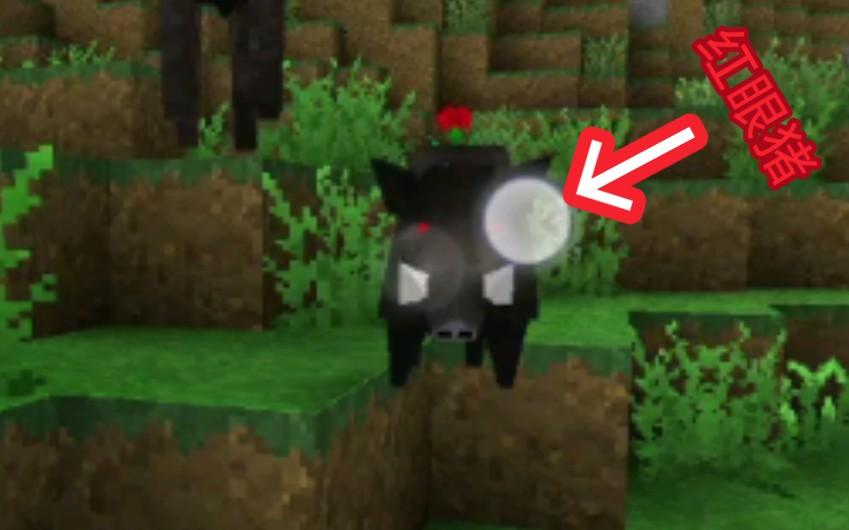 生存战争恒泰老版本(生存战争恒泰53下载)