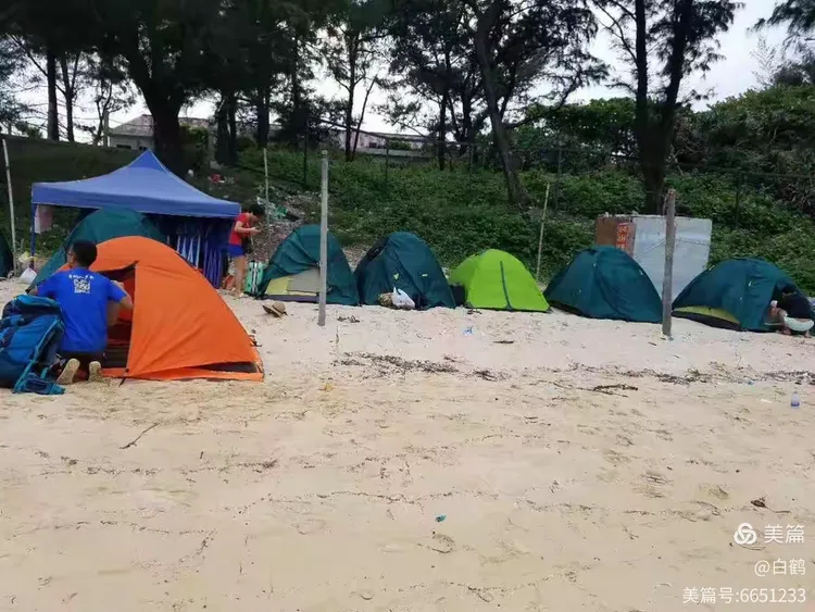 豪华游艇逃生攻略(豪华游艇逃生攻略大全)