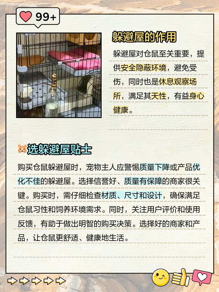 小仓鼠逃脱攻略(小仓鼠逃脱攻略大全)